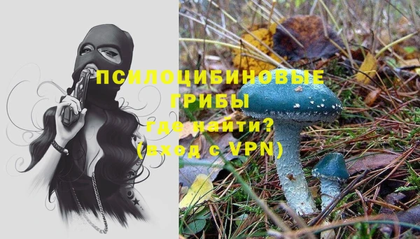 МДМА Лихославль